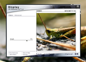 Nik Sharpener pro 2.0 image sharpening - thumb